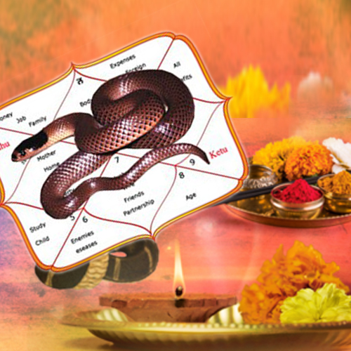 Kaal sarp dosh pooja